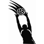 Volleyball Decals Category Image